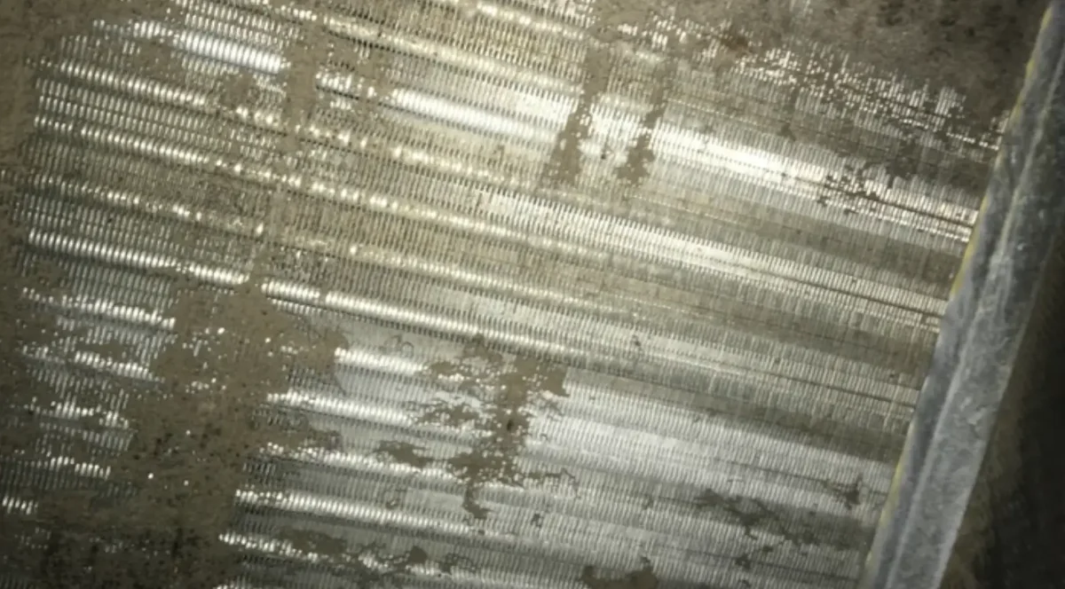 Dust and mold deposits on AC coils